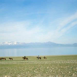 Meet your Posher, Theodore